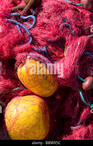 Reti da pesca in Cargese Porto, Cargese Corsica, Francia, Europa. Foto Stock