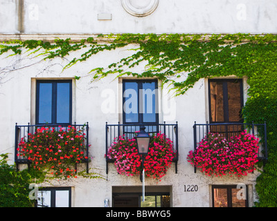 Vigne e fiori che crescono su una facciata di un edificio. Foto Stock