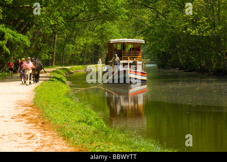 Acqua porte e serrature e mulo chiatta disegnata sul C O Canal Chesapeake e Ohio Canal a Great Falls va vicino a DC Foto Stock