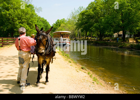 Acqua porte e serrature e mulo chiatta disegnata sul C O Canal Chesapeake e Ohio Canal a Great Falls va vicino a DC Foto Stock