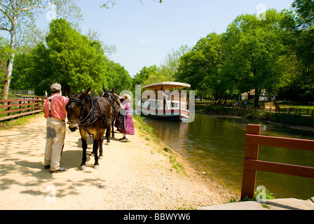 Acqua porte e serrature e mulo chiatta disegnata sul C O Canal Chesapeake e Ohio Canal a Great Falls va vicino a DC Foto Stock