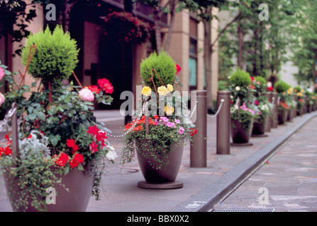 Paesaggio di Marunouchi, Tokyo, Giappone Foto Stock