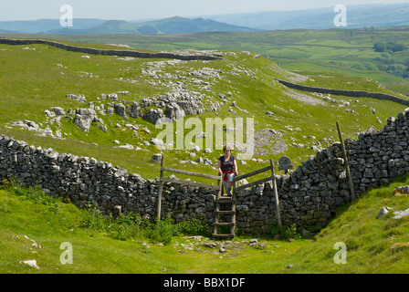 Il camminatore femmina sul montante della scala, Pennine Way, vicino Malham Cove, Yorkshire Dales National Park, North Yorkshire, Inghilterra, Regno Unito pennine Foto Stock