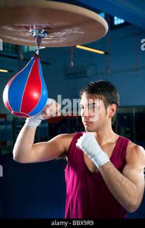 Giovane uomo adulto colpendo Speed bag in palestra spazio copia Foto Stock