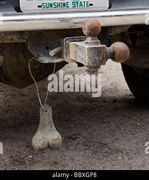 Una serie di sfere di ottone pende dal paraurti posteriore di un carrello di prelievo North Florida Foto Stock