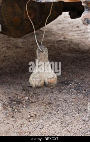 Le sfere di ottone appendere dal paraurti posteriore del carrello di prelievo nelle zone rurali del Nord Florida Foto Stock