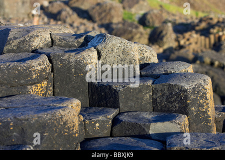 Esagonale a colonne di basalto passi sulla giants causeway County Antrim coast Irlanda del nord Europa Regno Unito Foto Stock