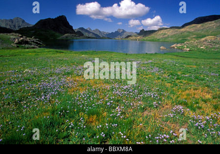 Lago di montagna nella valle Anzer, orientale Mar Nero Turchia Foto Stock