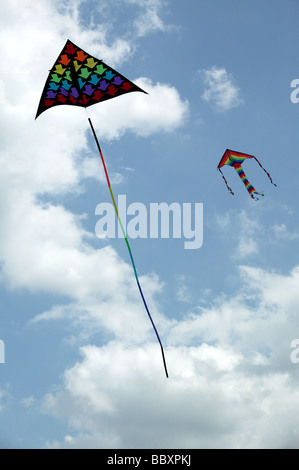 Una grande e colorata kite essendo visualizzati al Blackheath International Kite Festival 2009 Foto Stock