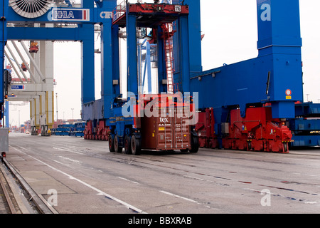 Un "straddle carrier carrello si sposta i contenitori ISO da terminali portuali ulteriormente nel terminal per container. Foto Stock