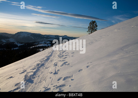 Tahoe Backcountry escursioni con le racchette da neve Sci e Snowboard Foto Stock