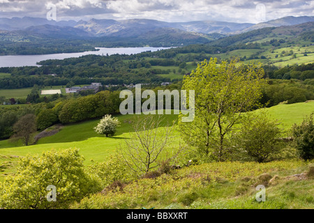 Vista dalla testa Orrest Windermere guardando verso Langdale Pikes Foto Stock