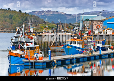 Barche da pesca nel porto di Tarbert in cima of Kintyre sulla penisola di Argyll, costa ovest della Scozia. Foto Stock