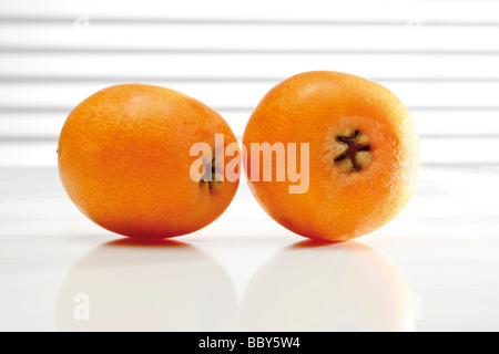 Medlars (Mespilus germanica) Foto Stock