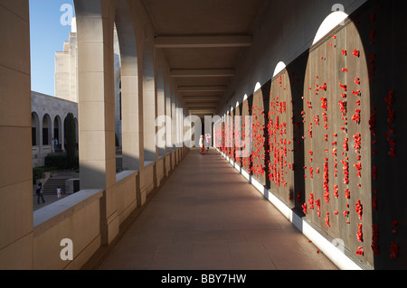 Poppies in Rotolo di onore Australian War Memorial atto di Canberra Australia Foto Stock