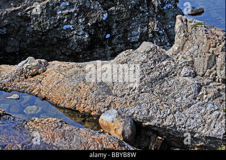 Le formazioni rocciose. La Fata Piscine, Allt Coir' un' Mhadaidh, coire na Creich, Glen fragile, Minginish, Isola di Skye in Scozia, Regno Unito Foto Stock