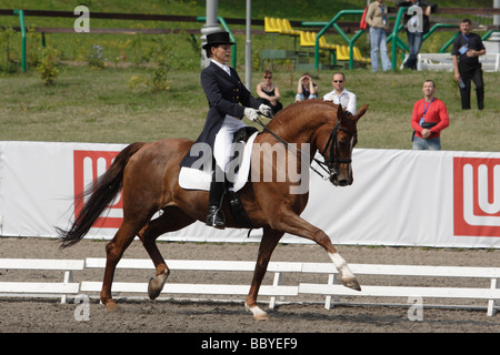 I piloti sono entrambi a competere in anello di dressage Foto Stock