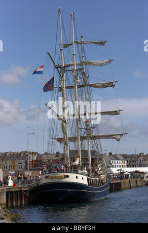 Thalassa tall ship ormeggiato sul molo di Eisenhower in Bangor county down come parte del mare festival di bangor Irlanda del Nord Regno Unito Foto Stock