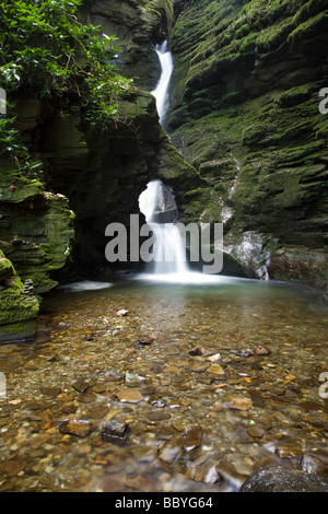 St Nectans Glen cascata Trethevey Cornovaglia Foto Stock