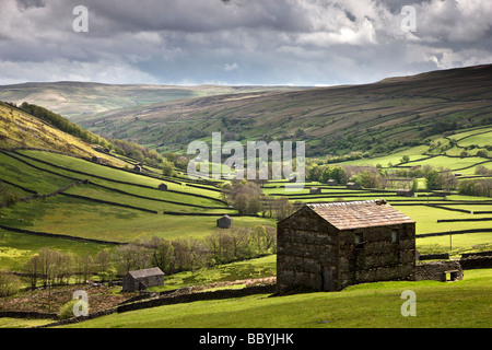 Granai in pietra Swaledale superiore vicino Thwaite, Swaledale, Yorkshire Dales National Park Foto Stock