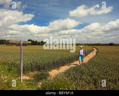 Middle aged woman walking in open countryside. West Sussex, England, UK. Foto Stock