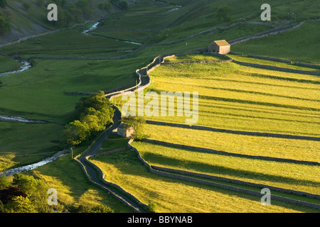 Un avvolgimento paese lane conduce passato un fienile in Littondale, nel Yorkshire Dales National Park, Regno Unito Foto Stock