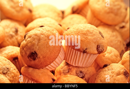 Muffin con scaglie di cioccolato Foto Stock