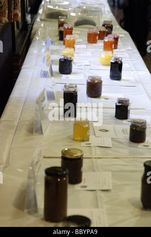 Inceppamento, mostarde, miele e marmellate positioend sulla tavola per giudicare in orticoltura visualizza Foto Stock