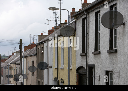 Righe di tv satellite piatti su 2 up down due alloggi sociali a terrazze a Ballymena County Antrim Irlanda del Nord Regno Unito Foto Stock