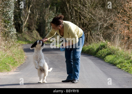 Persone di mezza età Asian lady formazione delle sue cockerpoo pup per sedersi soggiorno Foto Stock