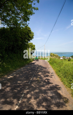 Pony e trappola, vicino Helvick Harbour, Anello Regione Gaeltacht, nella contea di Waterford, Irlanda Foto Stock