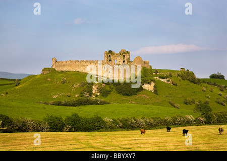 Le rovine di un castello del tredicesimo secolo, Roche a nord del confine irlandese, e al di là del pallido, nella contea di Louth, Irlanda Foto Stock