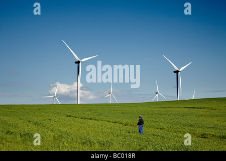 Campi di grano e il potere di vento mulini a Tarifa Cadice Andalusia Spagna Foto Stock