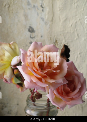 Vaso di rose in piena fioritura Foto Stock