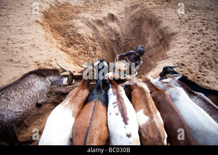 Un vecchio Hamer uomo scava un buco nel letto asciutto del fiume per accedere all acqua fangosa per le sue capre. Foto Stock