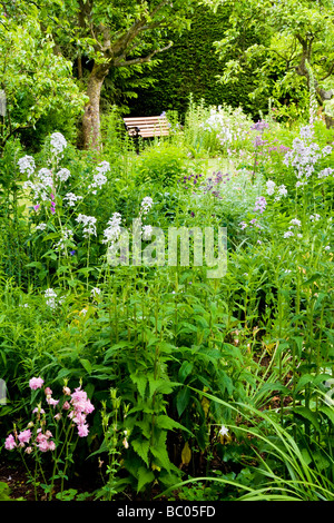 Una tranquilla scena in un paese di lingua inglese giardino in tarda primavera inizio estate Foto Stock