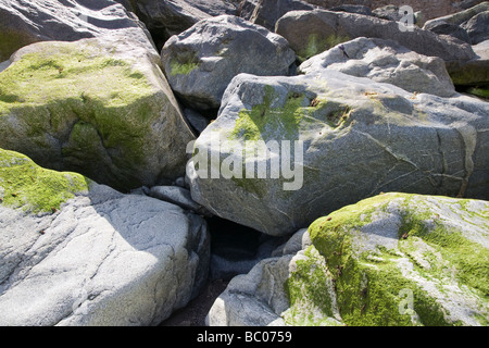 Close up di grandi massi utilizzato come parete di mare che mostra alcune tracce di algea verde Foto Stock