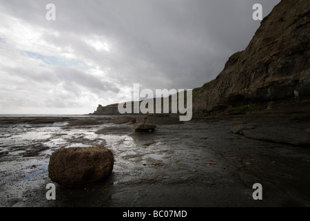 Scogliera e spiaggia dettagli dal litorale di Whitby mostrando rocce in primo piano North Yorkshire, Inghilterra Foto Stock