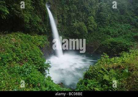 La Paz Waterfall in Cloudforest Valle Centrale Costa Rica America Centrale Dicembre 2006 Foto Stock