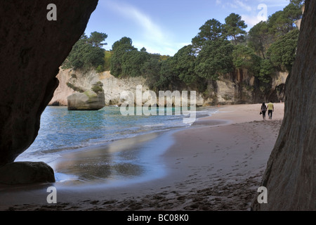 Cove della cattedrale, Penisola di Coromandel, Isola del nord, Nuova Zelanda Foto Stock