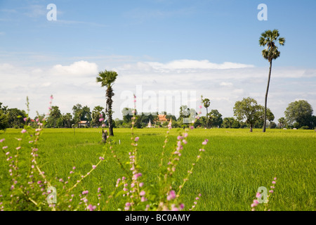 Lussureggianti risaie e villaggio nella provincia di Kandal, Cambogia Foto Stock