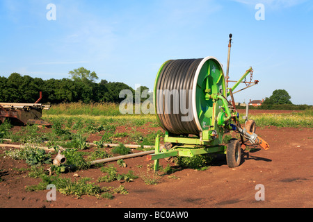 Portable impianti di irrigazione su un smallholding in Norfolk, Regno Unito. Foto Stock