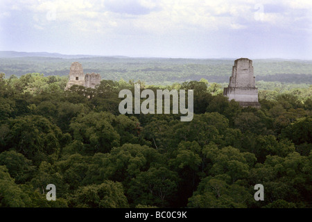 tikal Guatemala Foto Stock