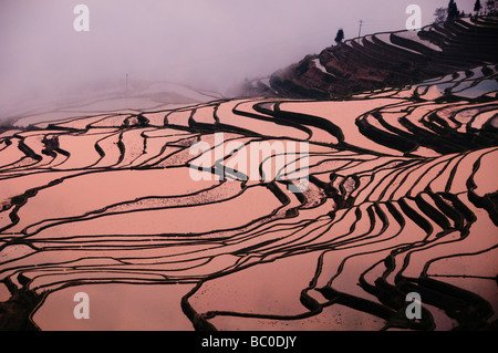 Sunrise presso lo spettacolare riempito di acqua terrazze di riso di Yuanyang Yunnan in Cina Foto Stock