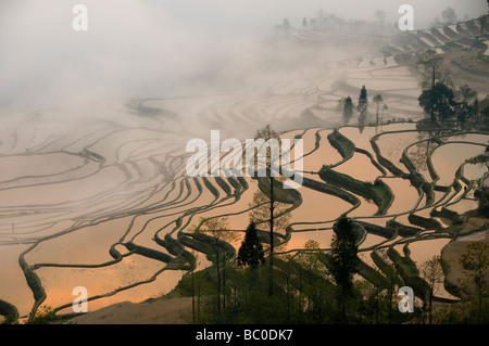 Sunrise presso lo spettacolare riempito di acqua terrazze di riso di Yuanyang Yunnan in Cina Foto Stock