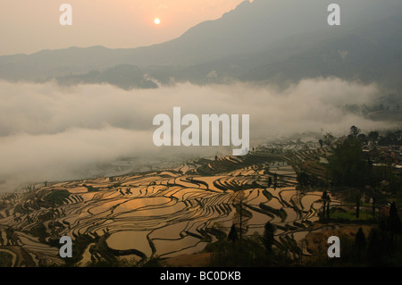 Sunrise presso lo spettacolare riempito di acqua terrazze di riso di Yuanyang Yunnan in Cina Foto Stock