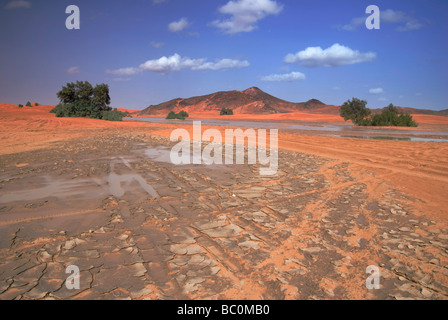 I lavaggi di pioggia attraverso il deserto del Sahara vicino a Merzouga Marocco Africa del Nord Foto Stock
