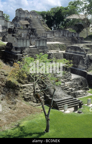 tikal Guatemala Foto Stock