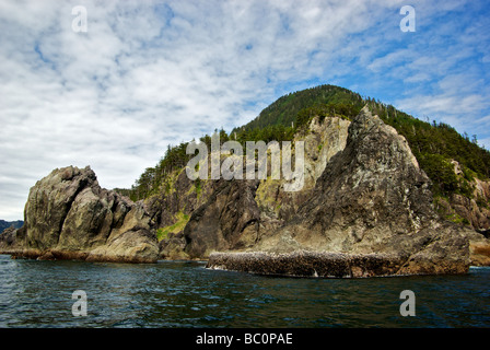 Guglia robusto eroso formazioni rocciose a salire dal mare al punto Skelu west coast Graham Island in Haida Gwaii Queen Charlotte islands Foto Stock