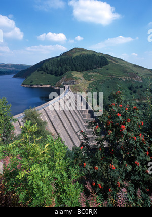 Diga a Clywedog serbatoio vicino Llanidloes Powys Mid Wales UK Foto Stock